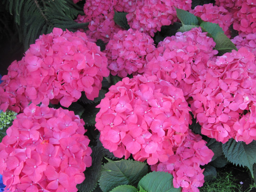 1054517 (a): :2560x1920